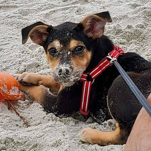 Meet your Posher, Madelyn